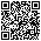 大化天仪大酒店